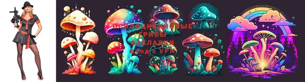 амфетамин Алексин