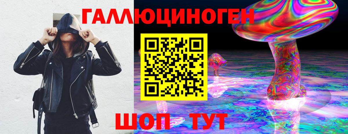 Псилоцибиновые грибы Psilocybine cubensis Кондопога